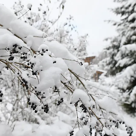 Tiny House Nature 17 - Tiny Village Harz Casa de Férias Osterode am Harz