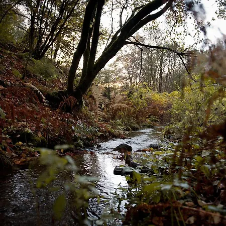 Tiny House Nature 17 - Tiny Village Harz Osterode am Harz